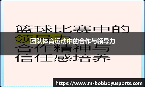 BOB博鱼官网