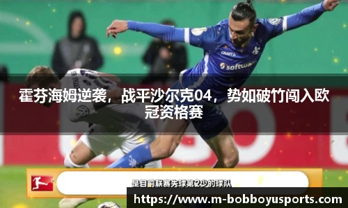 BOB博鱼app