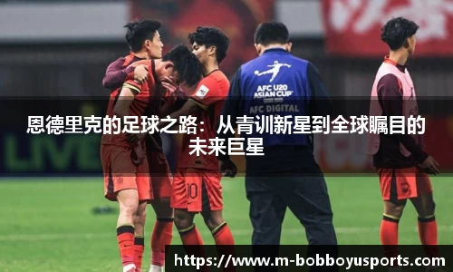 BOB博鱼官网